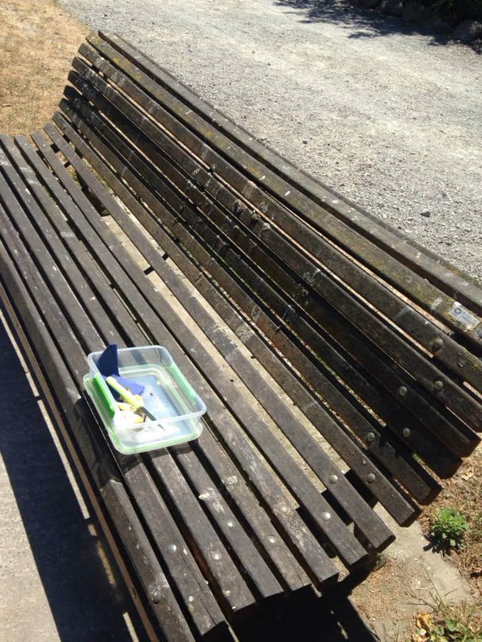 The photograph attached to this parks report