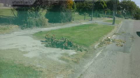 Roading/Streets, a report photo