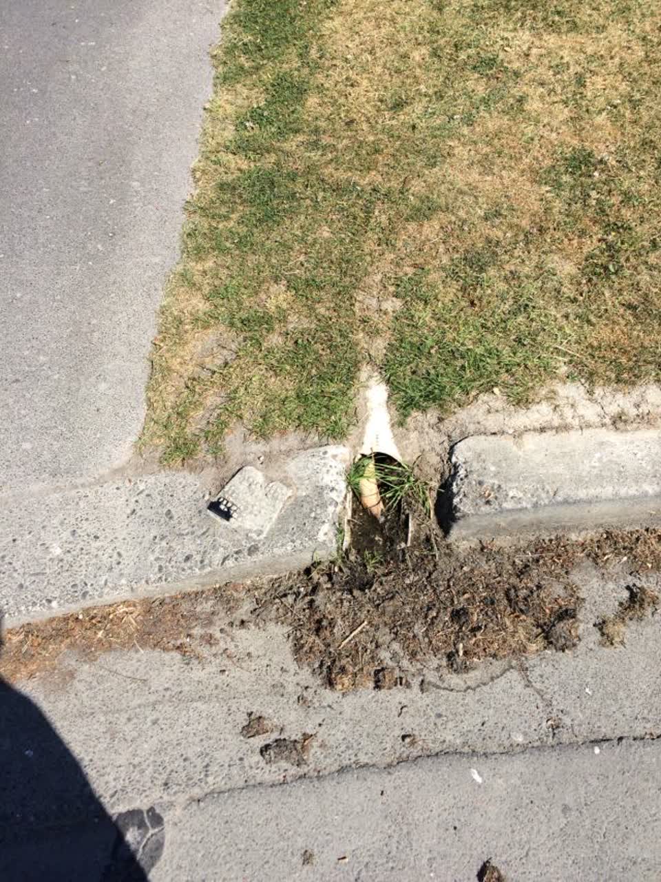 The photograph attached to this wastewater/stormwater report