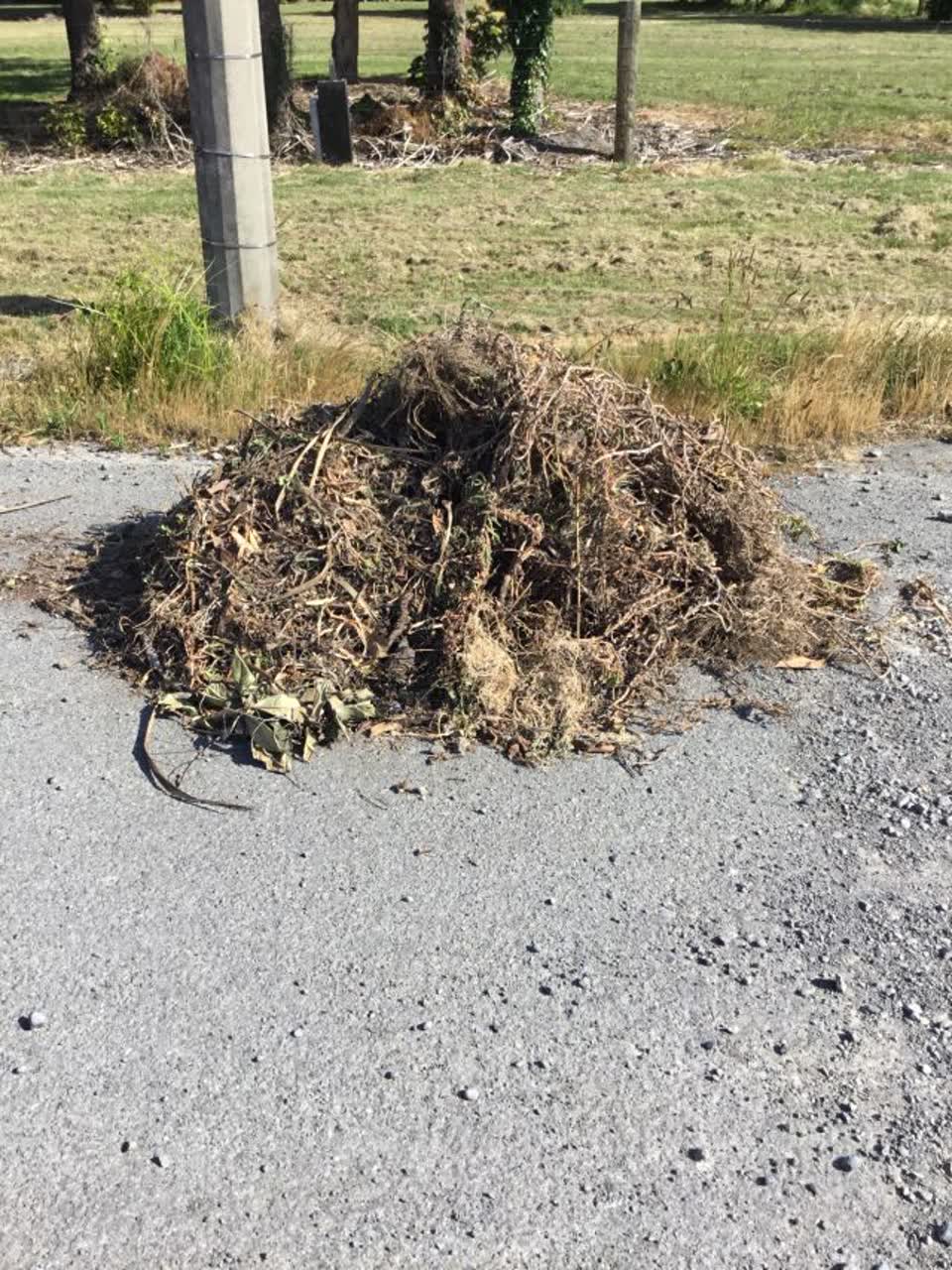 The photograph attached to this rubbish/recycling report