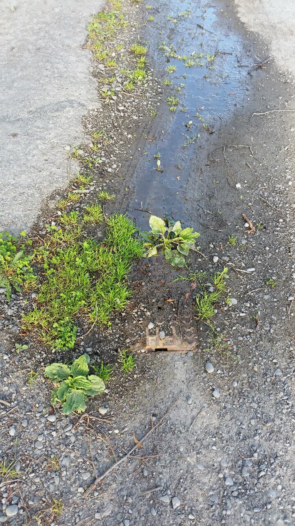 The photograph attached to this water supply report