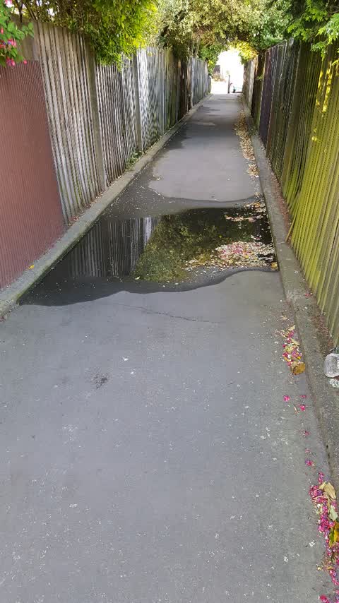 Wastewater/Stormwater, a report photo