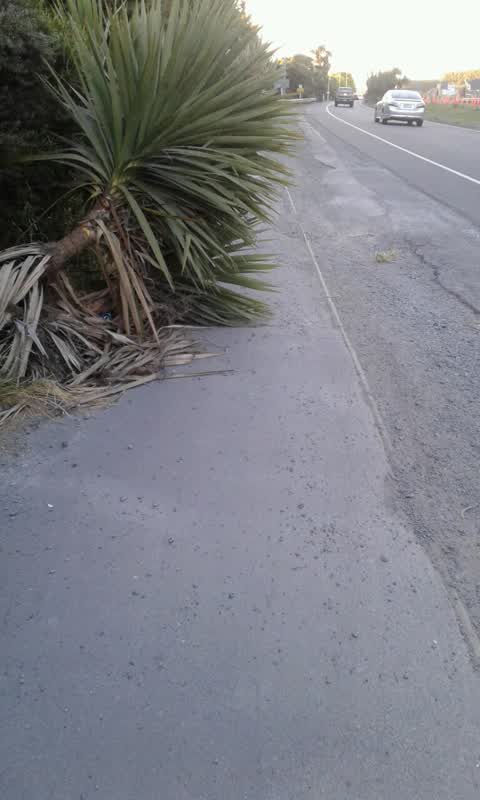 Roading/Streets, a report photo