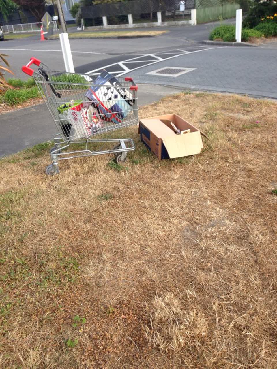 The photograph attached to this rubbish/recycling report