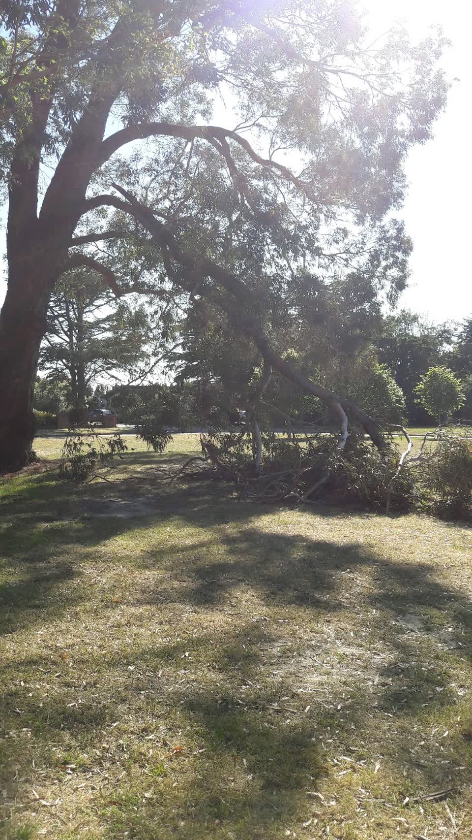 The photograph attached to this parks report