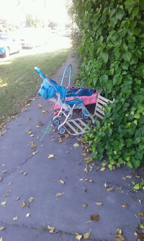 Rubbish/Recycling, a report photo