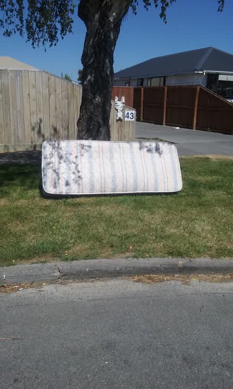 Rubbish/Recycling, a report photo