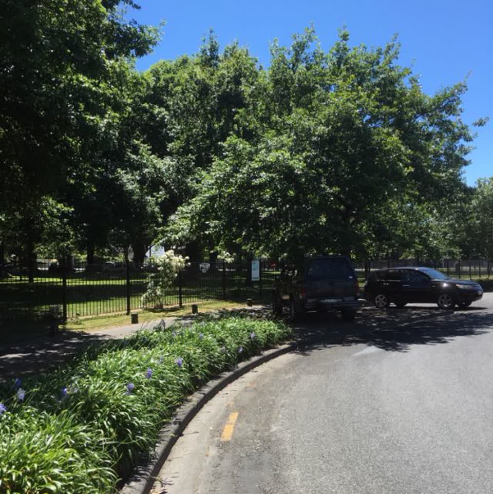 The photograph attached to this parks report