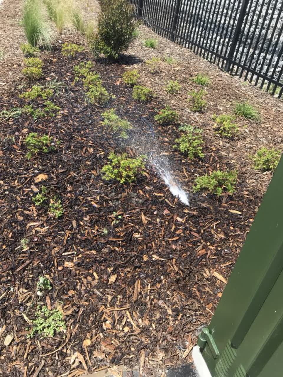 The photograph attached to this water supply report
