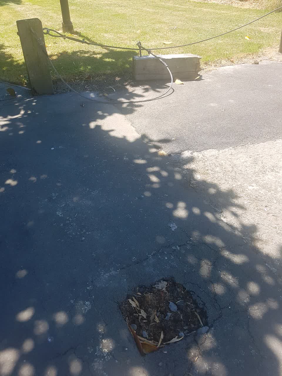 The photograph attached to this parks report