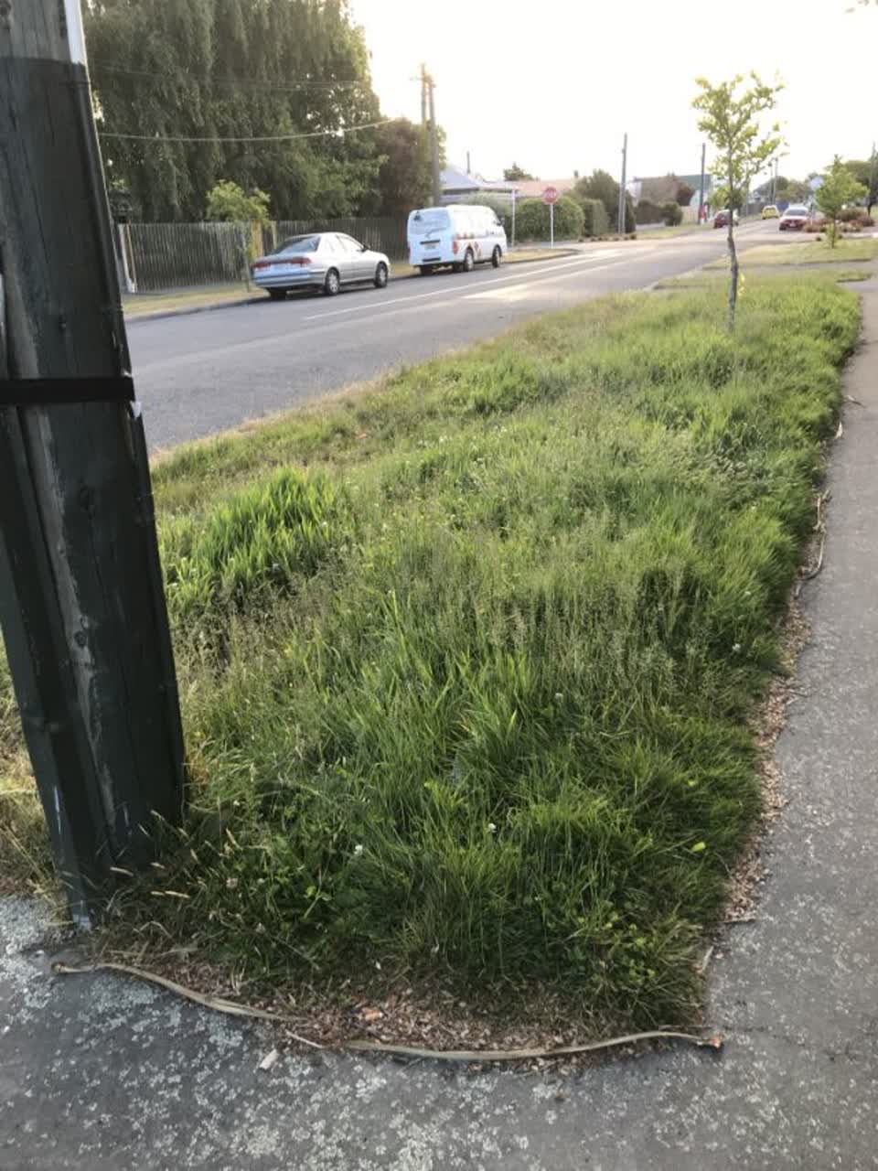 The photograph attached to this roading/streets report
