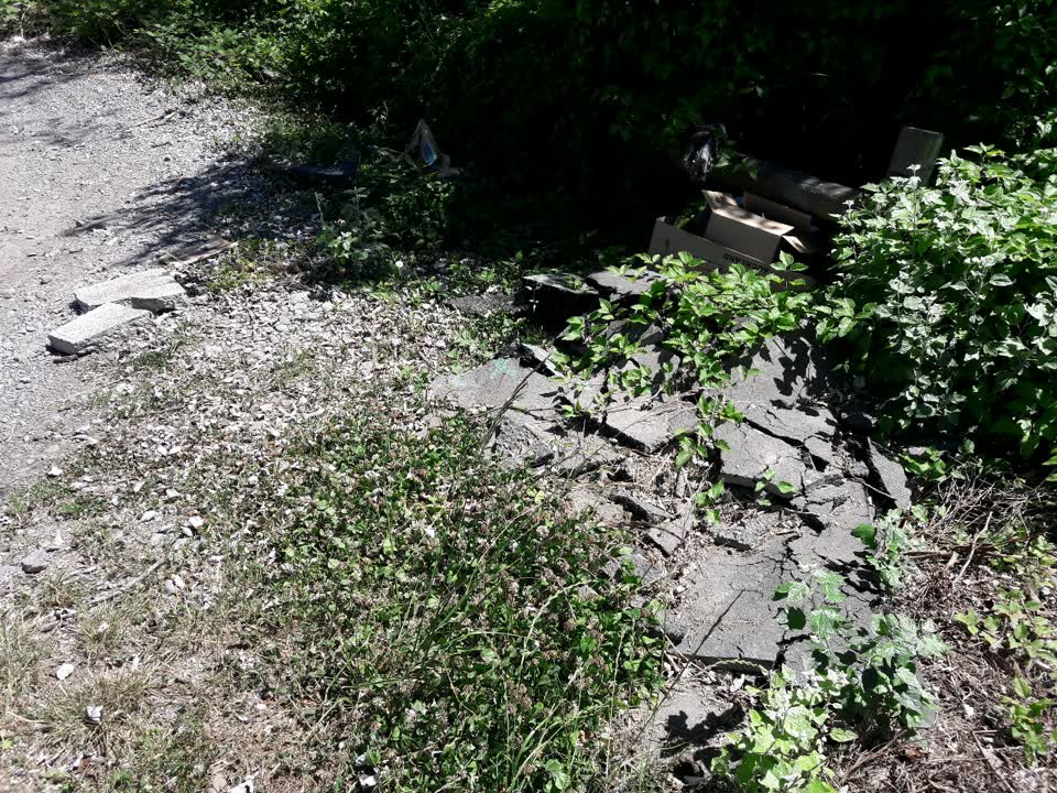The photograph attached to this rubbish/recycling report