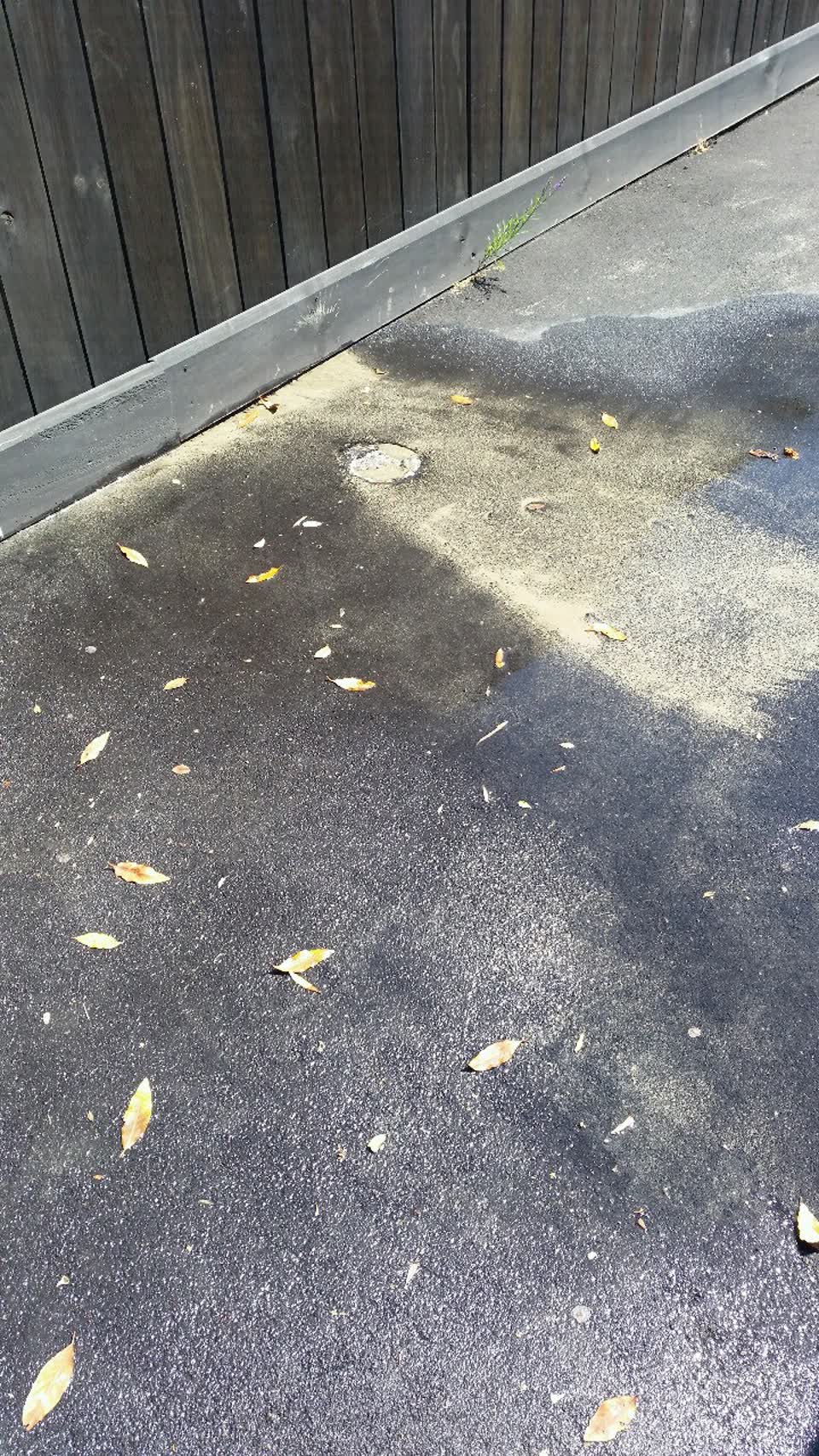 The photograph attached to this water supply report