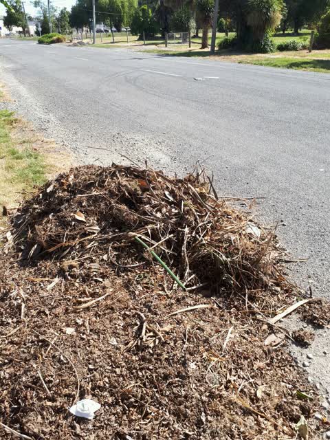 Rubbish/Recycling — a report photo