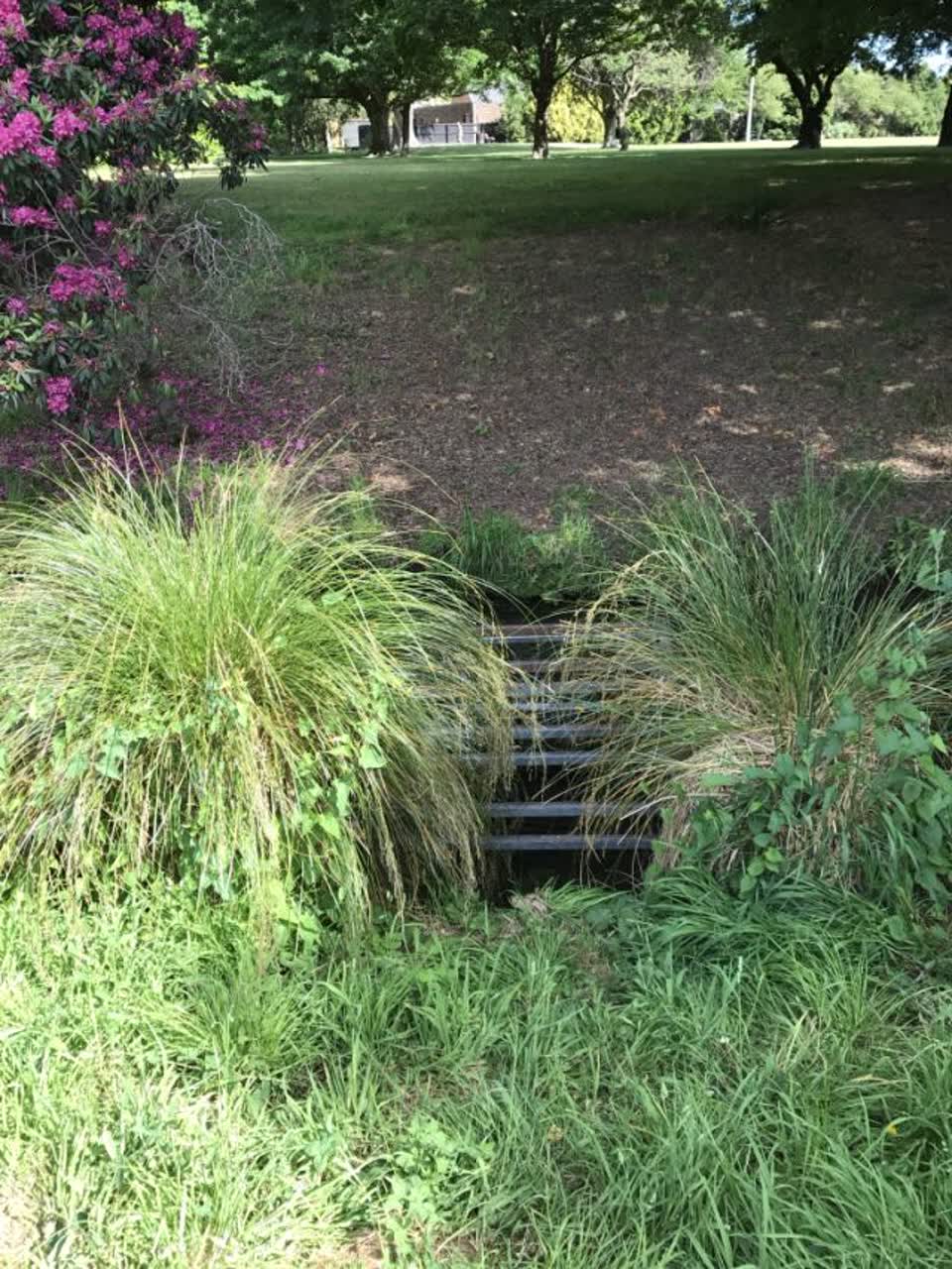 The photograph attached to this parks report