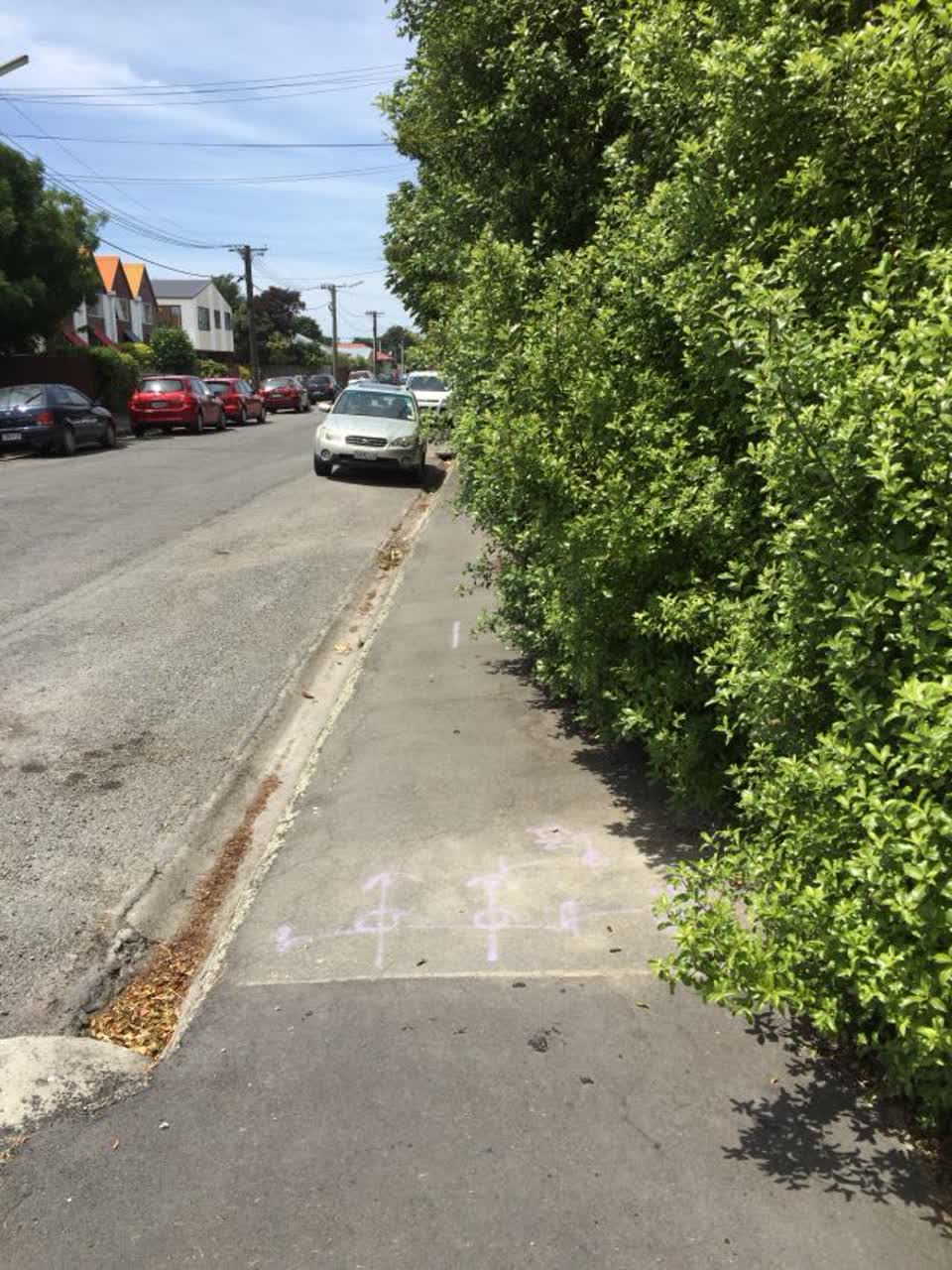 The photograph attached to this roading/streets report
