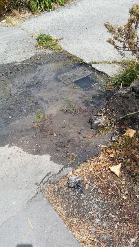 Water Supply, a report photo