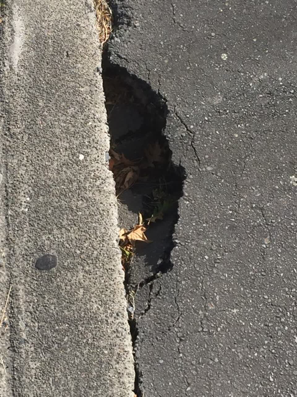 The photograph attached to this roading/streets report