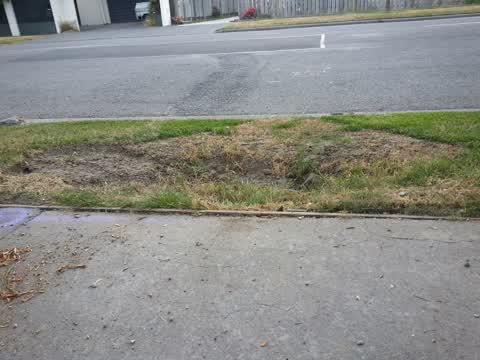 Roading/Streets, a report photo