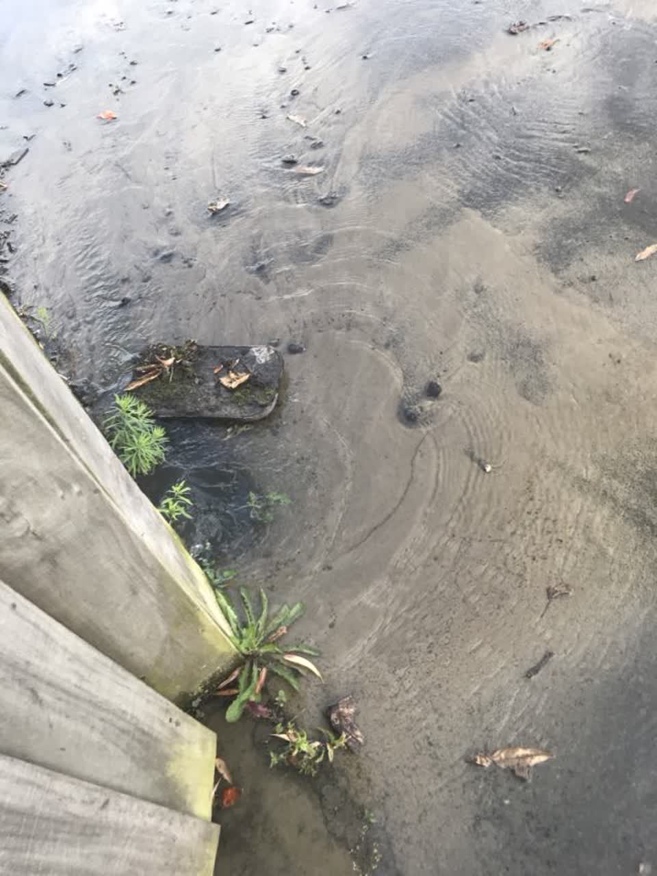 The photograph attached to this wastewater/stormwater report