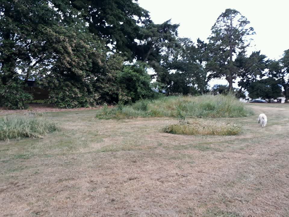 The photograph attached to this parks report