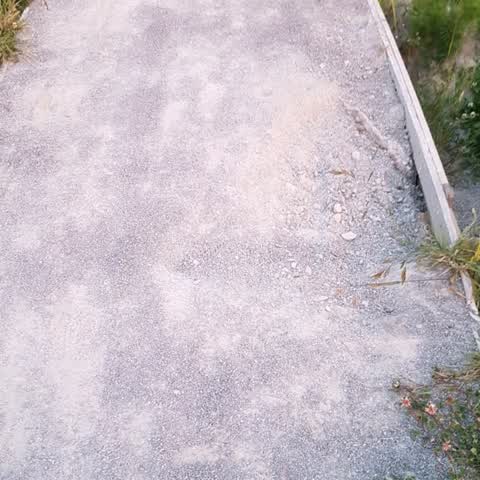 Parks, a report photo