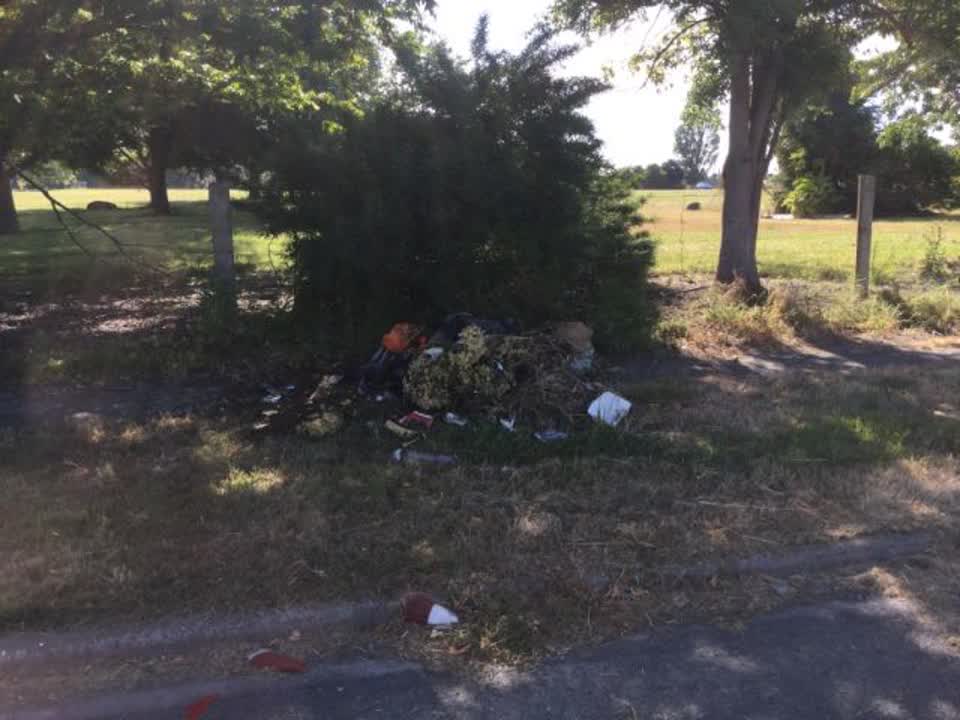 The photograph attached to this rubbish/recycling report