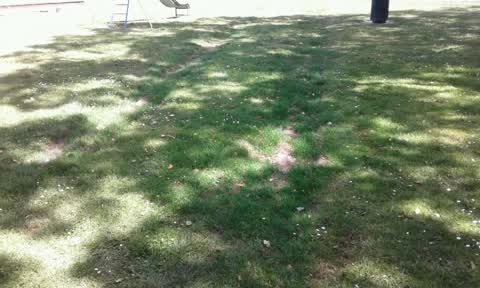 Parks, a report photo
