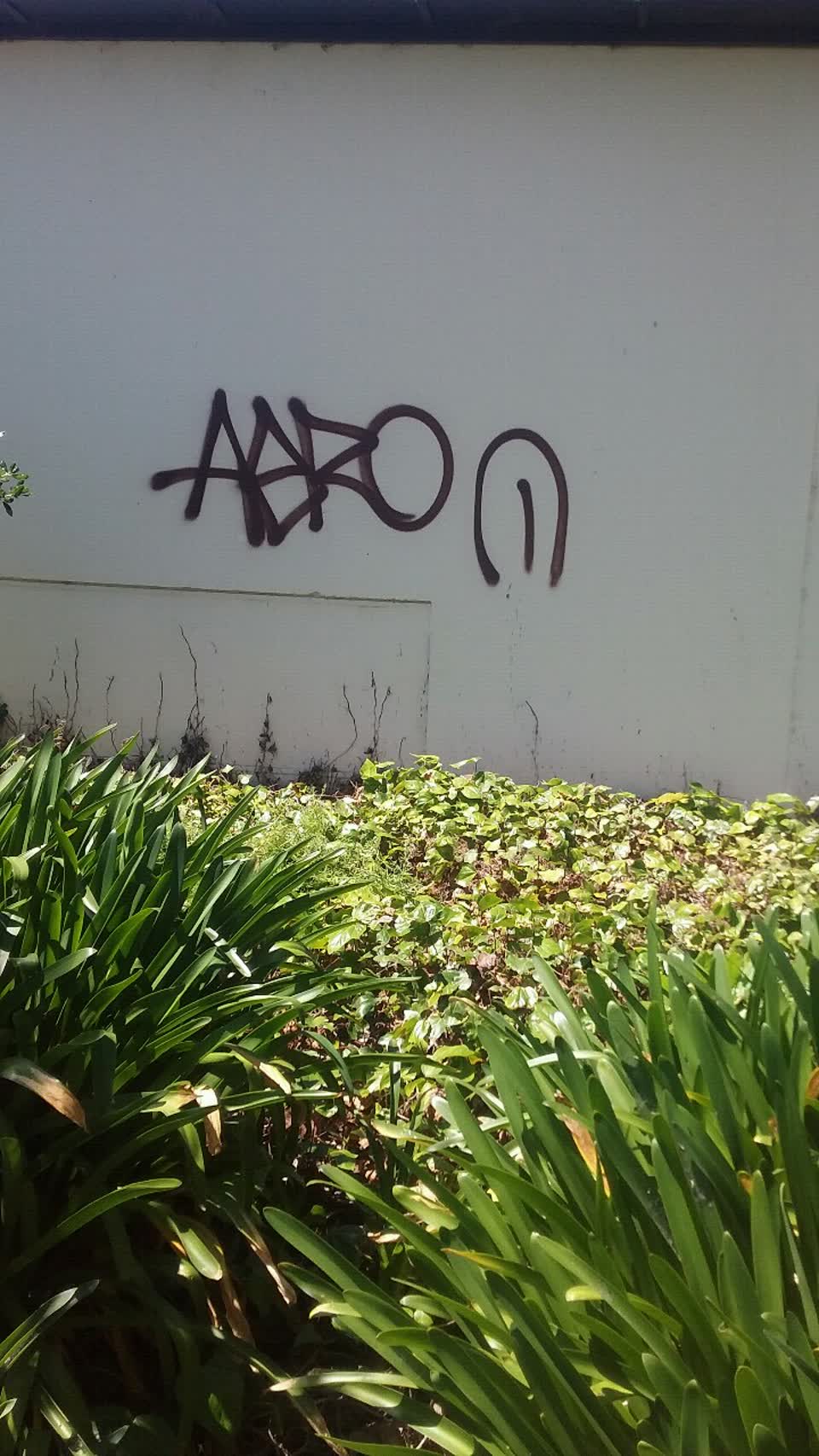 The photograph attached to this graffiti report