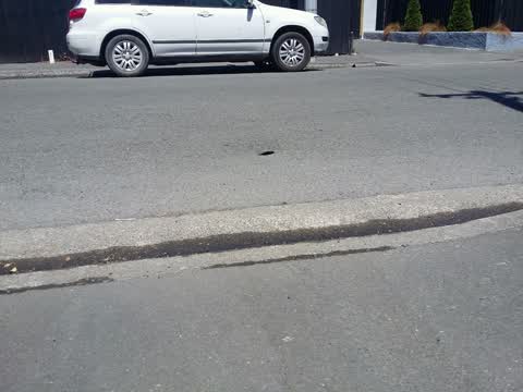 Roading/Streets, a report photo