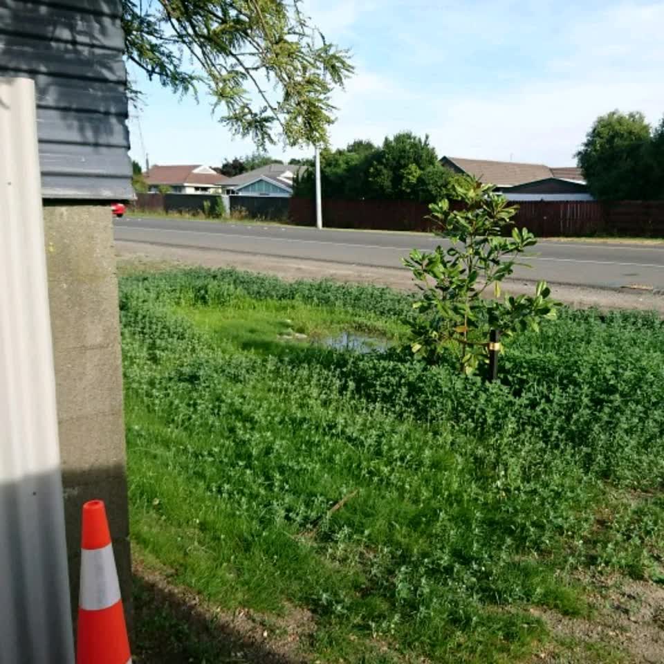 The photograph attached to this water supply report