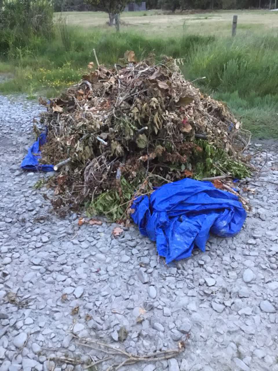 The photograph attached to this rubbish/recycling report