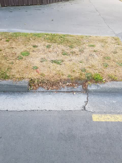 Roading/Streets, a report photo