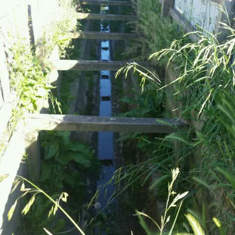 Wastewater/Stormwater — a report photo