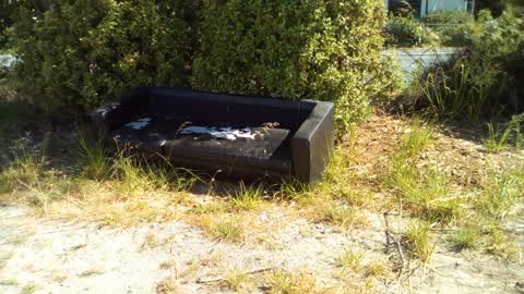 Rubbish/Recycling, a report photo