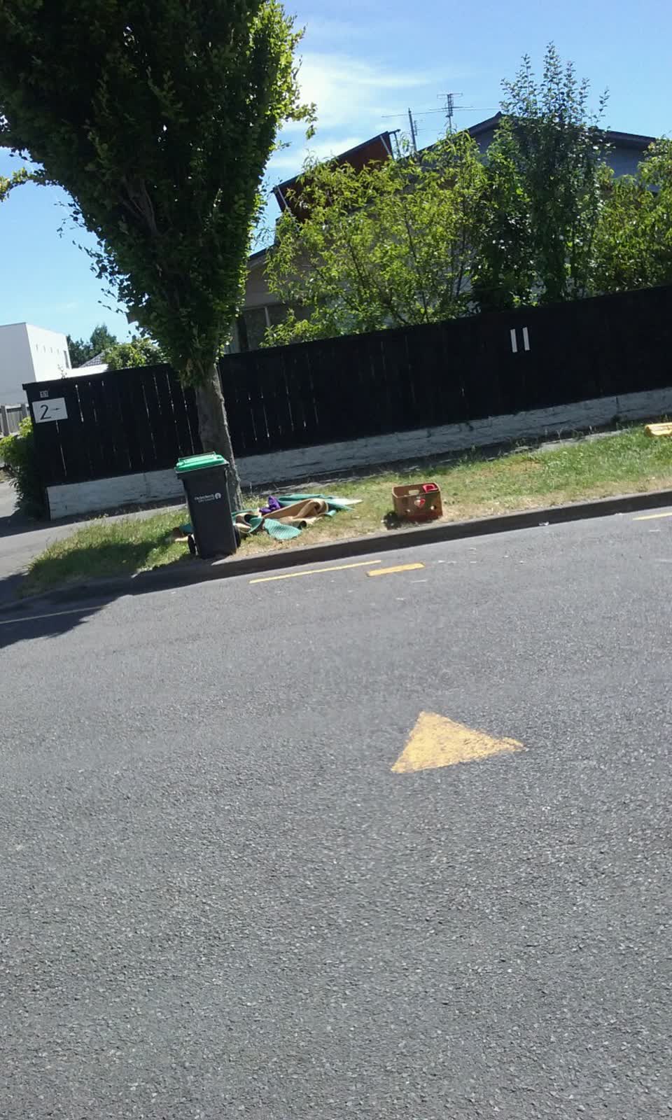 The photograph attached to this rubbish/recycling report
