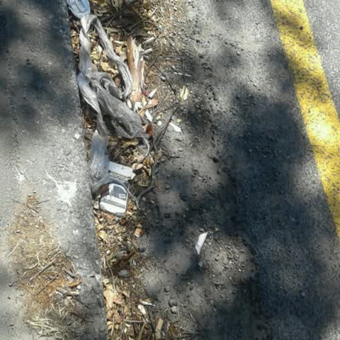 Wastewater/Stormwater, a report photo