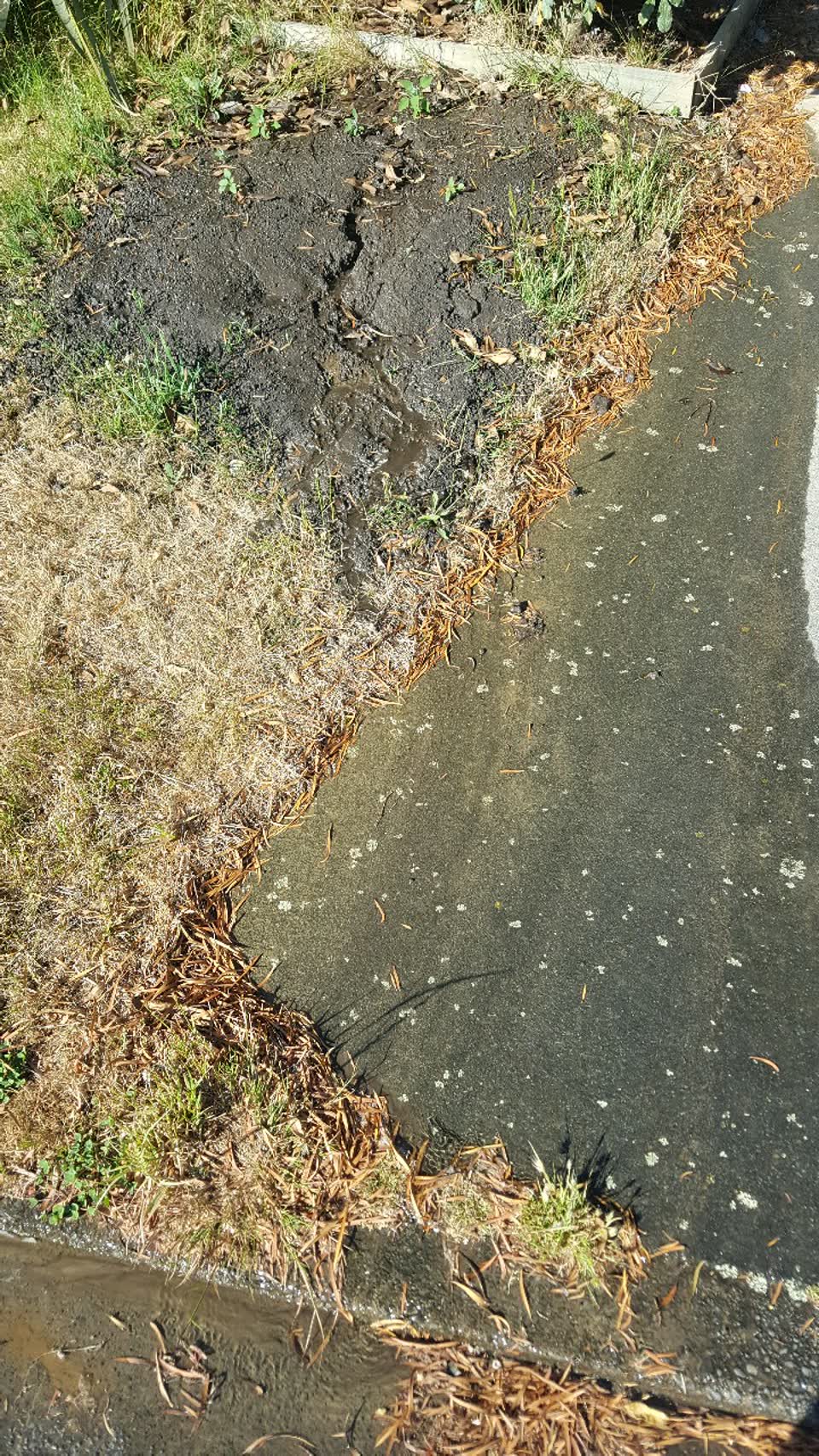 The photograph attached to this water supply report