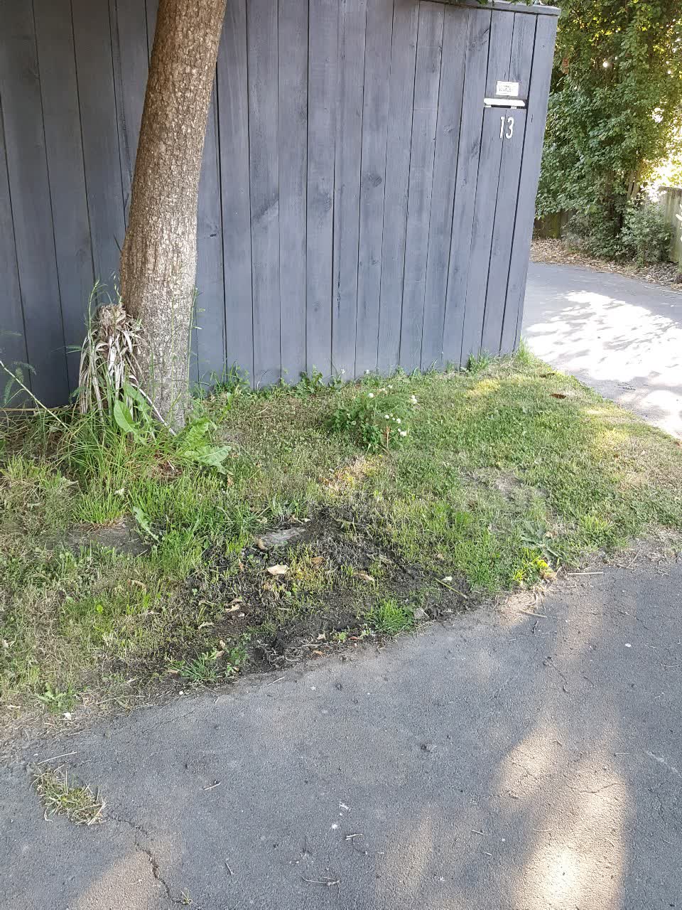 The photograph attached to this water supply report