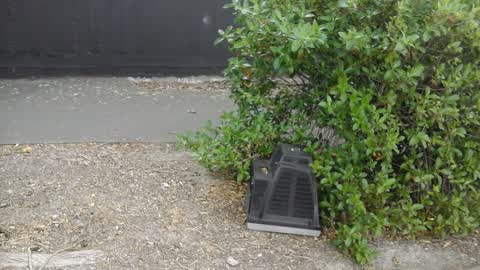 Roading/Streets, a report photo