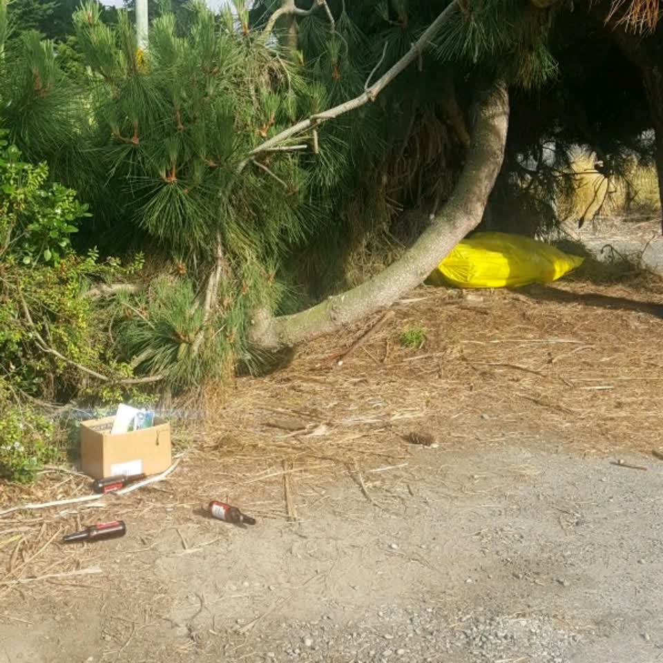 The photograph attached to this rubbish/recycling report