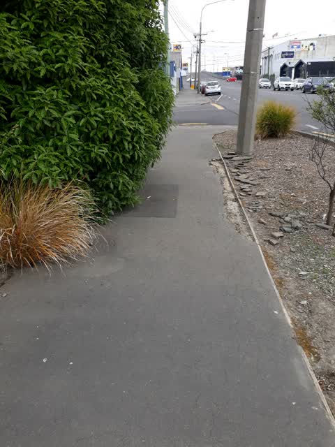 Roading/Streets, a report photo