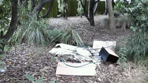 Roading/Streets, a report photo
