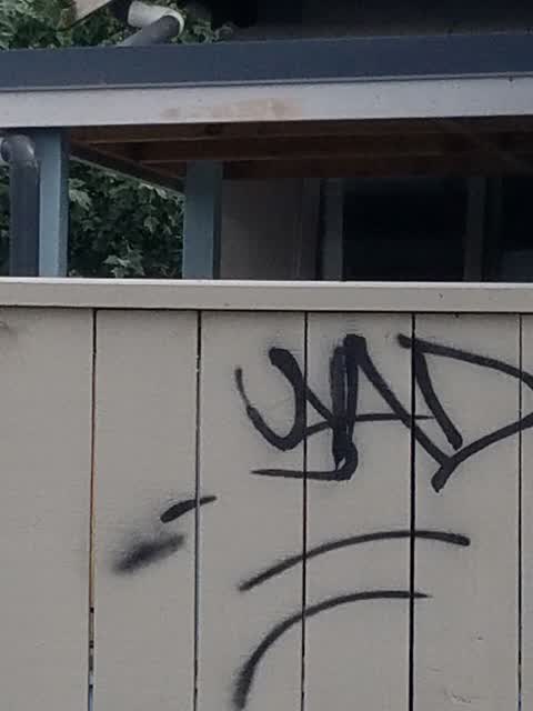 Graffiti, a report photo