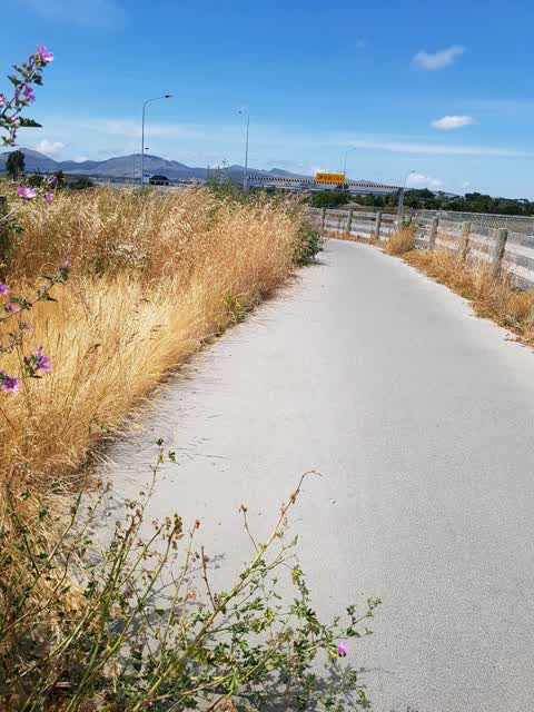Roading/Streets, a report photo
