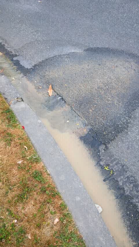 Water Supply, a report photo
