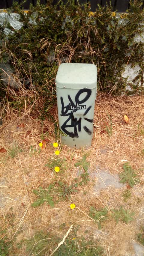 Graffiti, a report photo