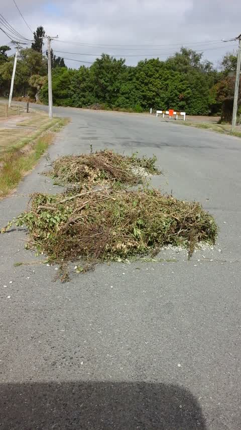 Roading/Streets, a report photo