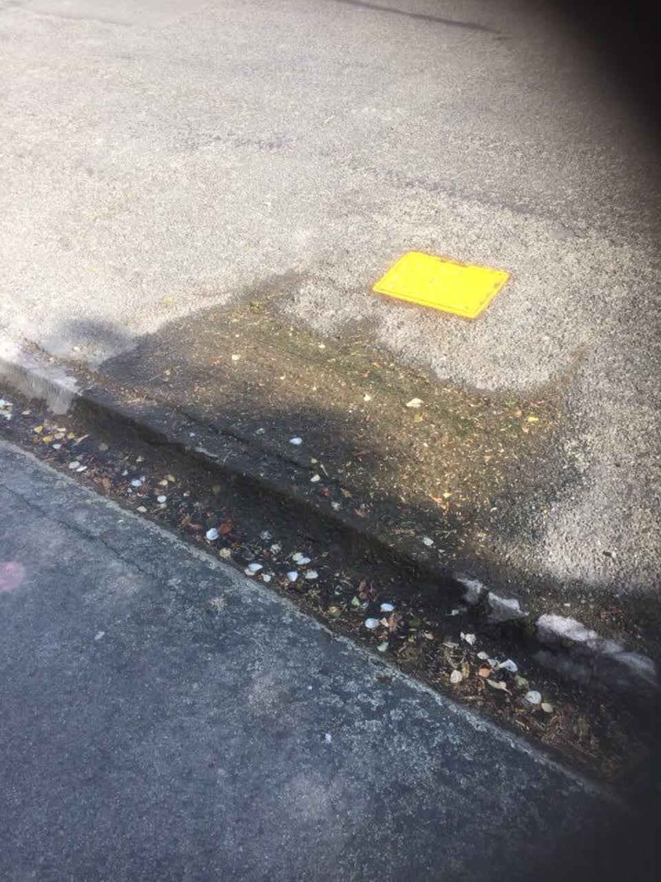 The photograph attached to this water supply report