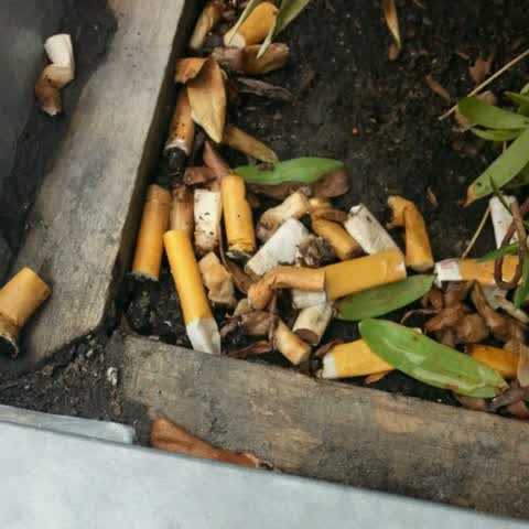 Rubbish/Recycling, a report photo